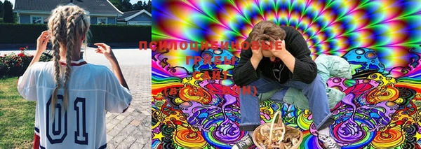 круглые Лабытнанги